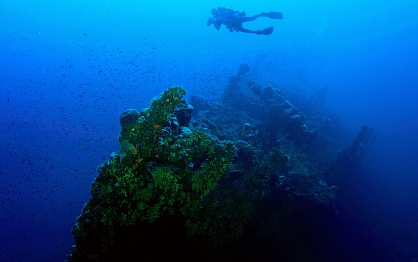 Le Polynesien wreck
