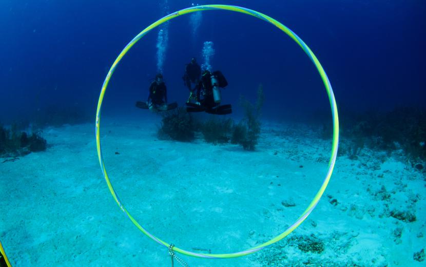 Peak Performance buoyancy course: diver hovering weightlessly